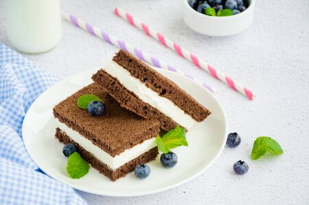 Chocolate cake with milk cream filling on a white plate with fresh blueberries and mint leaves with two bottles of milk and tubes. Children's delicious dessert. Horizontal orientation, close up.の写真素材