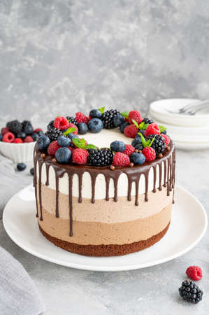 Three chocolate mousse cake with chocolate glaze, blueberries, raspberries and blackberries on top on a white plate on a gray concrete background. Cake with three layers of different taste. Copy spaceの写真素材