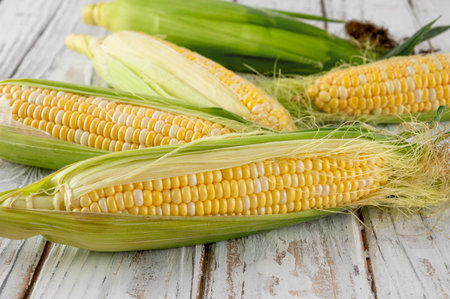 Fresh raw sweet corn cob on a rustic wooden background. Top view