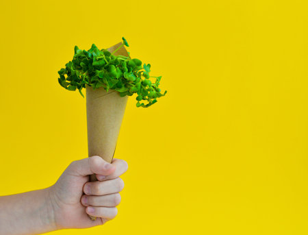 Close-up of a hand holding a homemade bag with micro greenery on a yellow background.Spring...