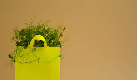 natural organic bio food. Banner of yellow paper shopping bag with micro greenery on a beige background. Spring agriculture and planting concept.の写真素材
