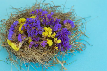Spring greeting card with flowers in a nest on a blue background.
