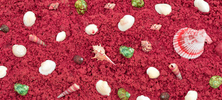 Seashells lies on red sand on the beach, a wide banner, a natural background, a concept of a summer...
