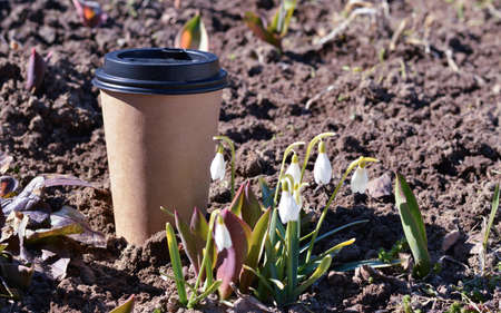 A morning cup of coffee in the sunny garden in early spring. The concept of pacification, relaxation, peaceful life. Mock up, copy space.の写真素材