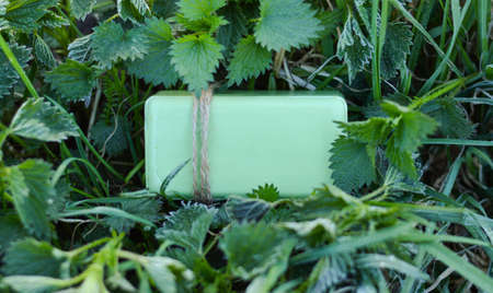 A mock-up of green soap, which lies among the nettles covered with frost. natural herbal cosmetics.の写真素材