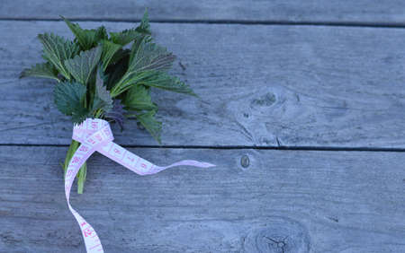 A bunch of fresh nettles tied with a centimeter ribbon is a source of vitamins in a vegetarian diet, raw foodの写真素材