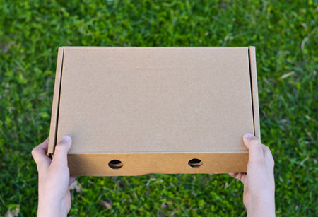 Cardboard large parcel box in hand on the background of green grass outdoors. Mock up of packaging...