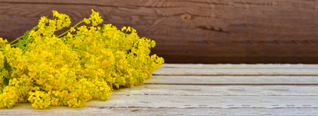Banner Yellow rapeseed flowers on a wooden background close-up. Raw materials for the production of...