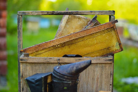 A tool of the beekeeper. Everything for a beekeeper to work with bees. Smoker, a number, a box. apiary in nature. honey production. bees. natural healthy honey.の写真素材