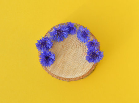 a wooden podium with blue cornflowers on an yellow background for the presentation of natural...