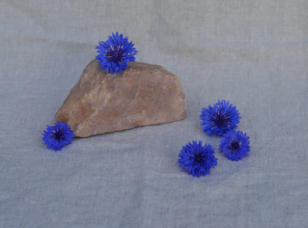 Natural stone podium and blue cornflowers for cosmetic products presentation top view on the...