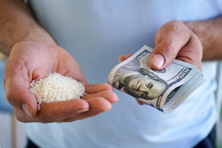 Close-up of the hands of a man holding a handful of rice and hundred dollar bills in his hands.The...
