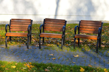 Street benches in the city in autumn. Urban landscape with fallen leavesの写真素材