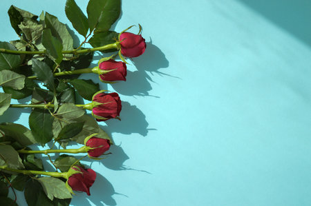 Valentines day background, Festivecard with red roses. Place fo textの写真素材