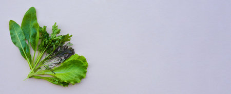 Variety of green vegetables spinach, parsley, lettuce on a beige background. top view. Healthy food...