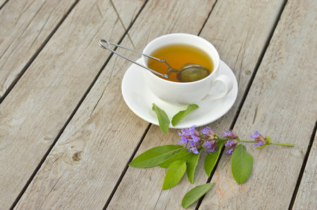 Fresh green sage bunch close up. Healthy sage herbal tea cup, green leaf of salvia officinalis and tea kettle on white table.の写真素材
