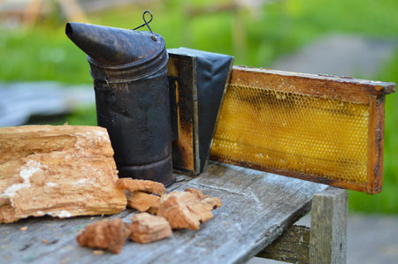 A tool of the beekeeper. Everything for a beekeeper to work with bees. Smoker, a number, a box. apiary in nature. honey production. bees. natural healthy honey.の写真素材