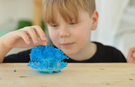 Radiant crystals grown at home. Chemical experience for children.Cultivation of radiant crystals. Synthetic crystal. diy chemistry exploration. selective focusの写真素材