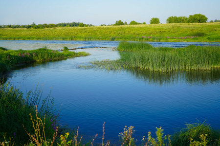 Sunny summer landscape with river. Green hills, fields and meadows. Quiet morning. Calm. warm sunshine. Cloudless blue sky.の写真素材