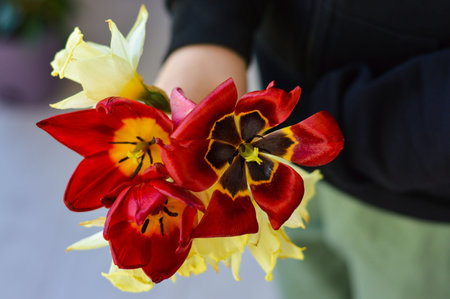 A little boy holds in his hands a bouquet of red tulips. flowers for mom