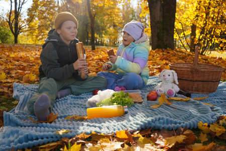 Crisp Air, Falling Leaves, and a Perfect Picnic Under the Autumn Skyの写真素材