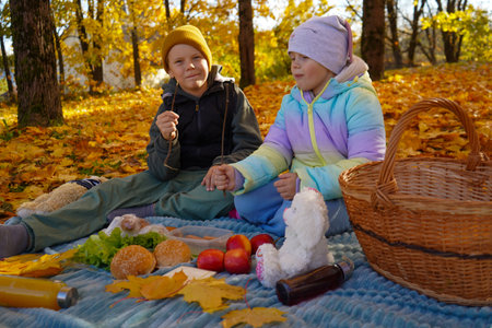 Warm Blankets, Sweet Treats, and Laughter: A Fall Picnic to Rememberの写真素材