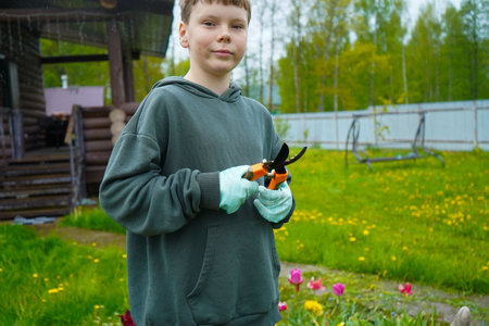 A boy in gloves carefully shapes a lavender shrub with pruning scissors. It's the season for garden pruning tasks.の写真素材