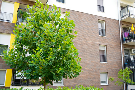 Image of a modern residential complex with multiple colorful apartment buildingsの写真素材