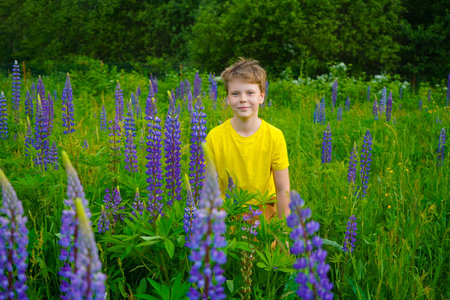A joyful boy in a yellow T-shirt stands in a field of lupines, smiling happily. The vibrant flowers and bright sky create a cheerful, lively atmosphere perfect for stock images. The scene captures innocence and happinessの写真素材