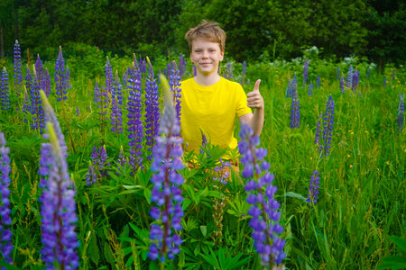 A happy boy wearing a yellow shirt is standing amidst a field of colorful lupines, smiling brightly.の写真素材