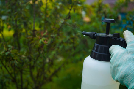 Spraying trees with pesticides from a sprayer