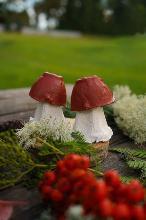 Autumn-inspired project using natural and waste materials, depicting a mushroom.の写真素材