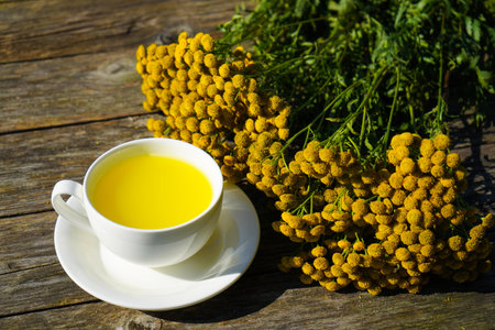 A still cozy life featuring freshly brewed tansy tea in a simple white cup. A natural solution for aiding digestion and easing cramping.の写真素材