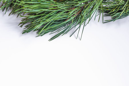 pine branches New Year background ball cones