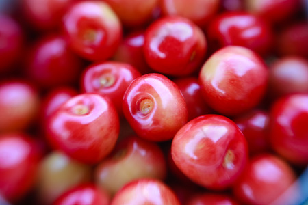 Many fresh shiny cherries, macroの写真素材