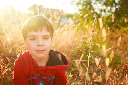 Portrait of a five year old boy at sunset in the field among the ears dryの写真素材