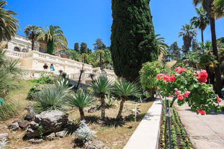 Sochi, Russia - June 08, 2015: Shady alley in the arboretum of Sochi, Russia, summer dayのeditorial素材