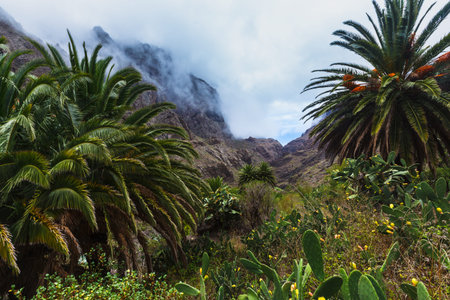 Masca village in mountain gorge the most visited tourist attraction of Tenerife, Spain.