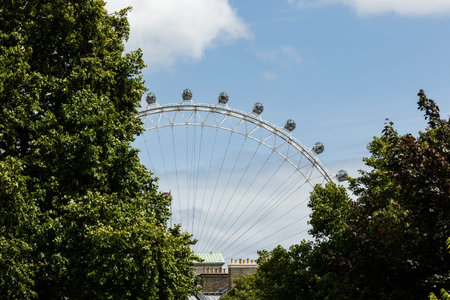Ferris wheel Coca-Cola London eye through treesのeditorial素材