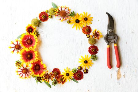 Yellow, red, orange flower circle round rustic composition on a wooden white background with leafs and individual petals. Secateurs is near the compositionの写真素材