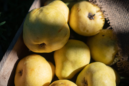 a wooden box with bright yellow pears stands on the fresh green grass