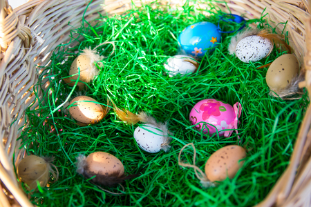 Color Easter eggs in the straw basket with green grass inside in sunny spring day.の写真素材
