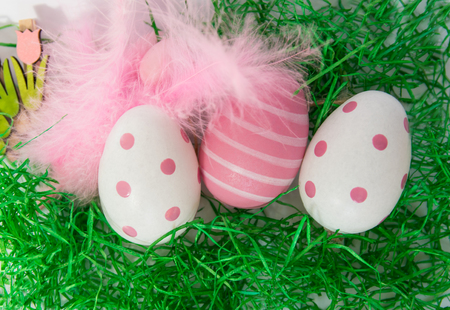 Pink big easter eggs and feathers with green grass and wood flowers on a white background.の写真素材