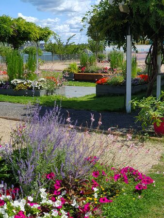 Beautiful park with much flowers and trees near the river in summer sunny day.の写真素材