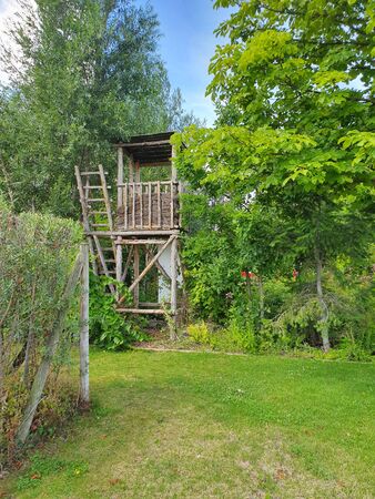 Wood tree house for kids in the garden in summer sunny day.の写真素材