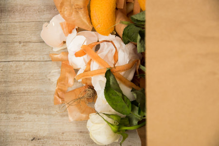 Paper bio bag for domestic food garbage. Compost waste.