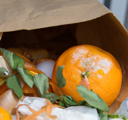 Paper bio bag for domestic food garbage. Compost waste.の写真素材