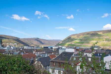 Beautiful city panorama with houses, river, vineyards, viewed from above surrounded by mountains in...