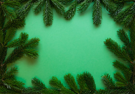 Green bright Christmas background. Winter frame of green branch on the fabric background.