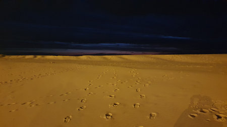 Beach for walking at the night. Sand, sea, dark sky and relax.の写真素材